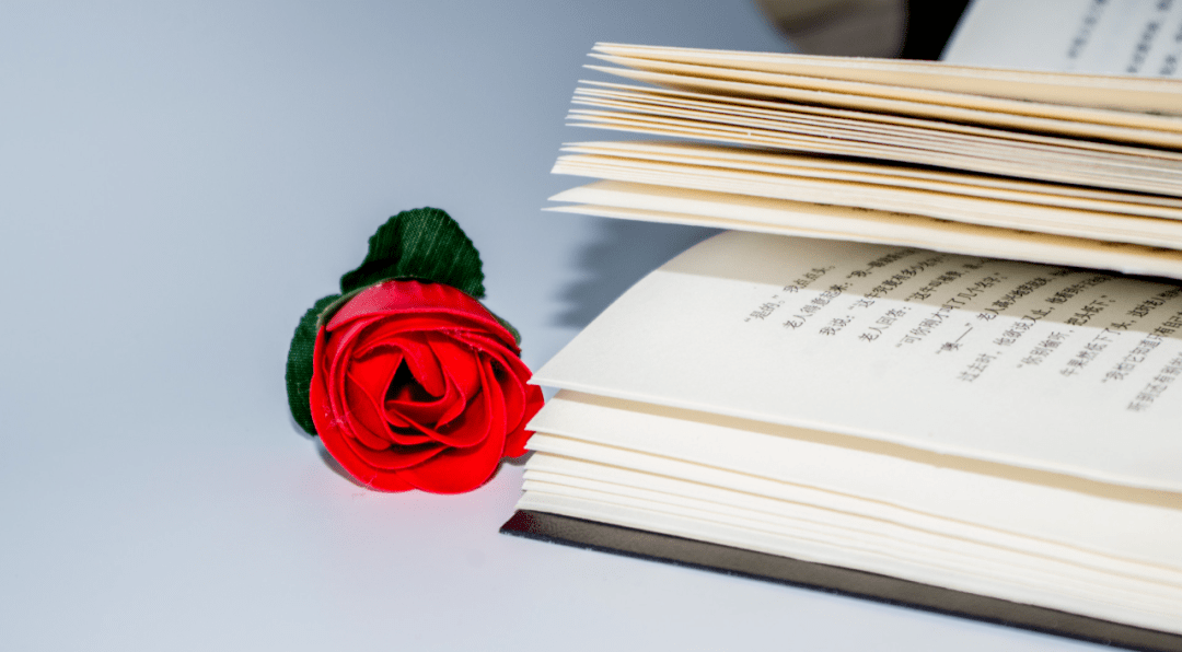 寒假英语阅读的七个有效方法 英语老师值得收藏 The Books 活动 寒假英语阅读的七个有效方法 英语老师值得收藏 The Books 活动