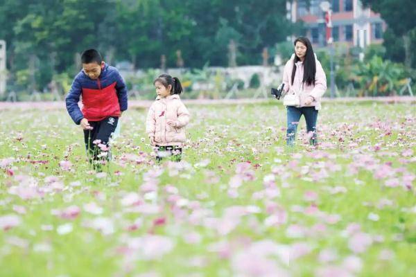 年味|回到乡村 寻觅“儿时的记忆”