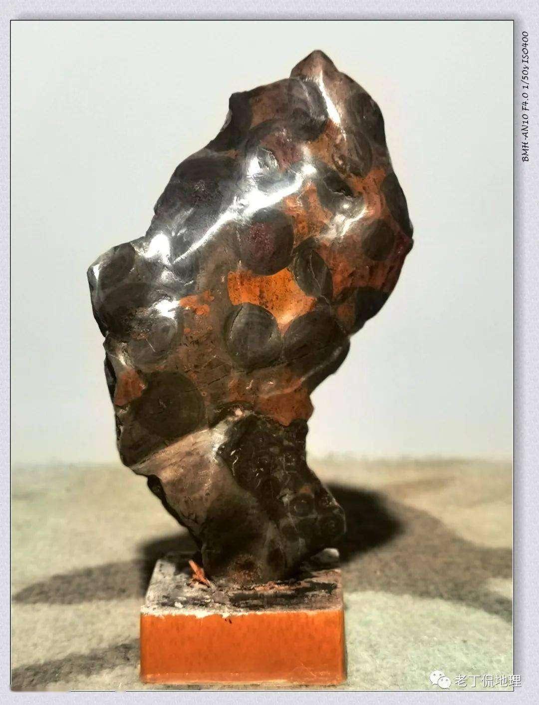 美人后背这是一块儿经过打磨抛光的金钱石,里面的核虽然不象金钱,但