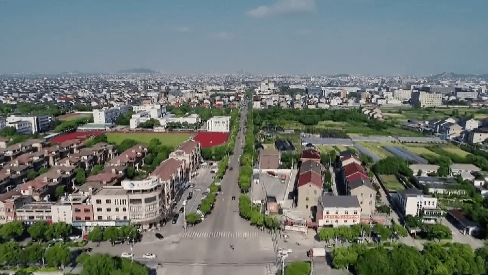 "亩均论英雄"连续三年全市领跑!_企业_低效_逍林镇