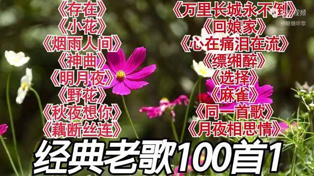 難忘經典老歌100首1存在小花煙雨人間神曲