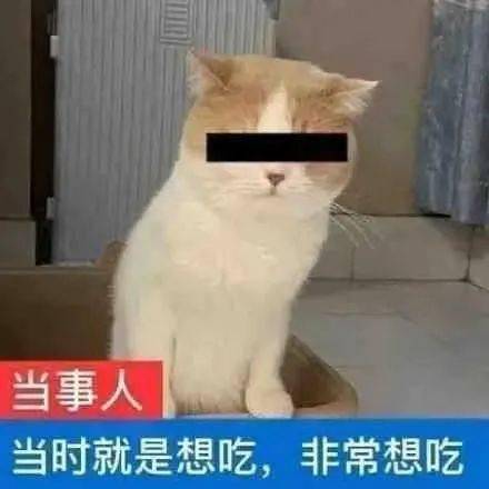 元宵吃多了恶心怎么办