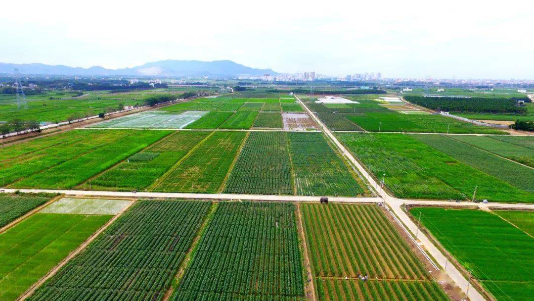 三亚崖州区南繁水稻育种基地.