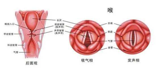 声音|【医文医话】康复中心：术后嗓音嘶哑，专业康复让您重拾信心