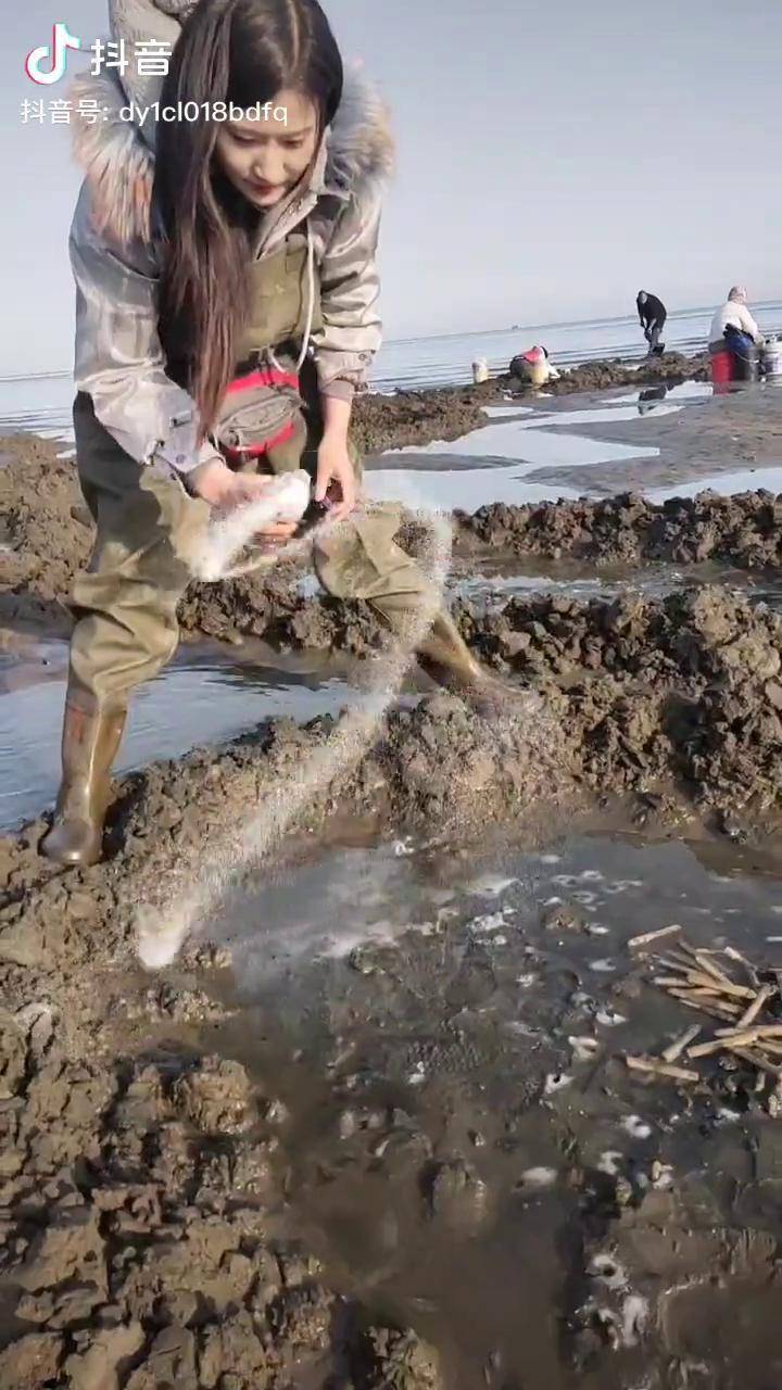 感谢抖音我要上热门赶海生活海边美景