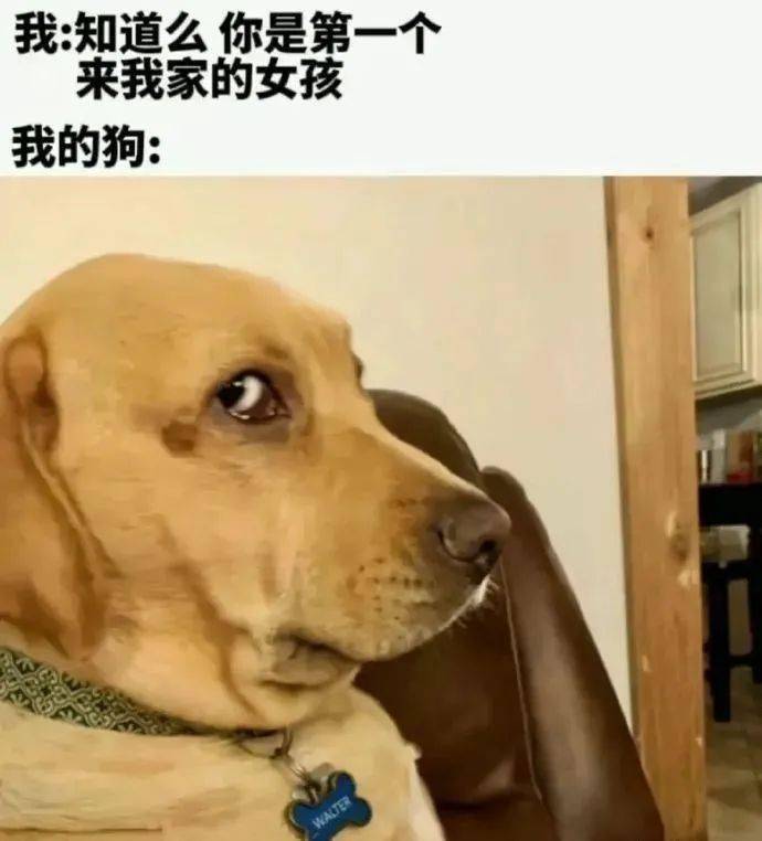 韩剧顶楼的熊猫表情图图片