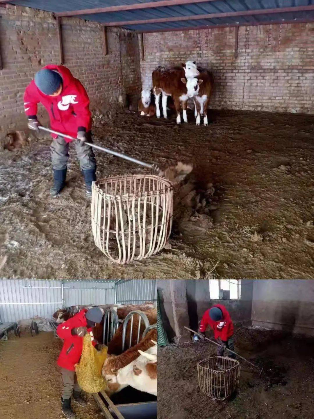 【"双减"在行动】落实"双减",重视劳育——苏尼特右旗第三