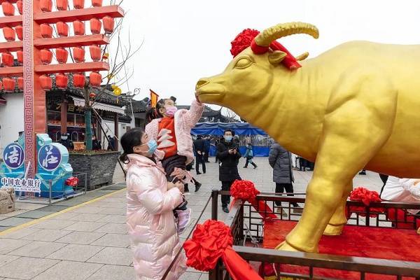 周庄|昆山：“游”出一串新亮点新趋势