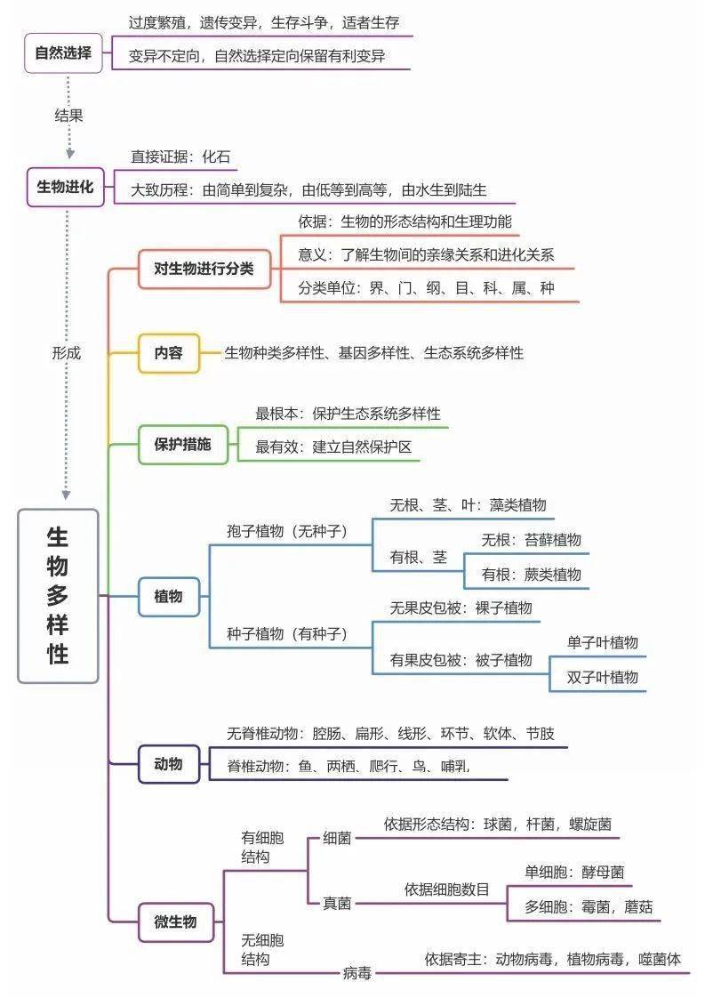 初中生物全册思维导图总结所有必考点一目了然