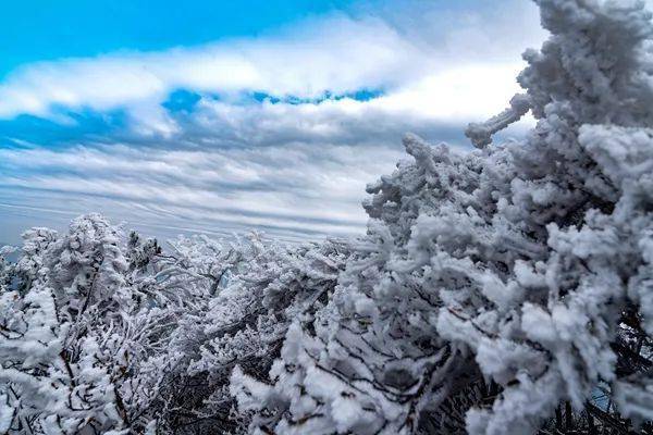 卦山天氣預報30天_(卦山天氣預報30天準確)