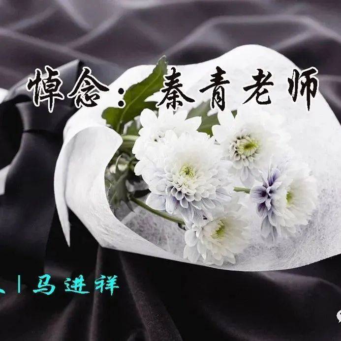 马进祥| 悼念:秦青老师_西宁市_青海_文学