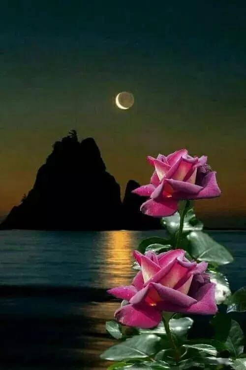 正月十六最美的月亮送给你