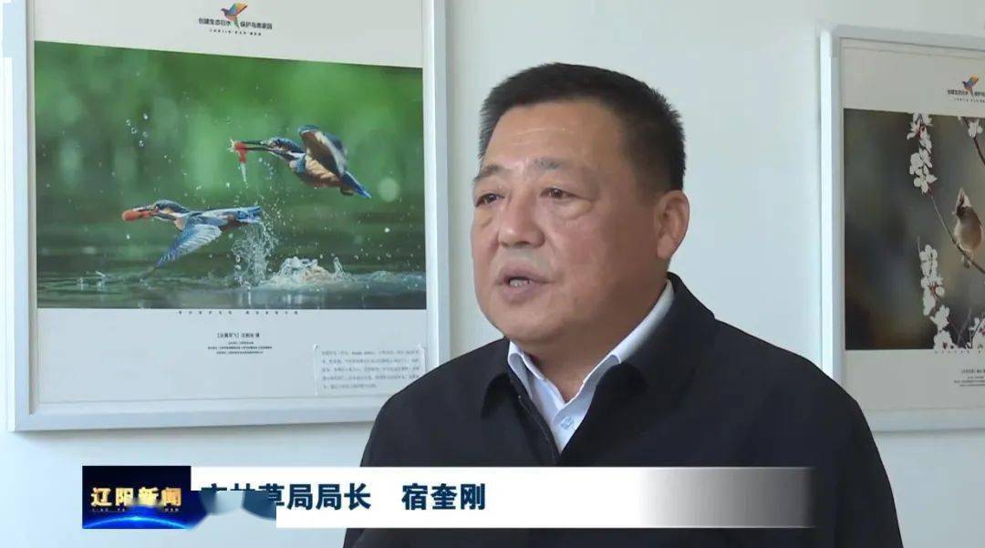 创建国家森林城市第二篇改善生态环境实现宜居宜业新辽阳