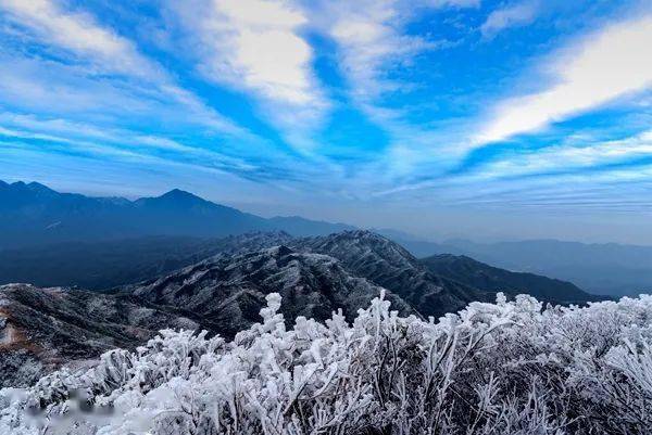 在冬季,天氣預報連山溫度低於7度時,皇后山大概率會出現冰掛.