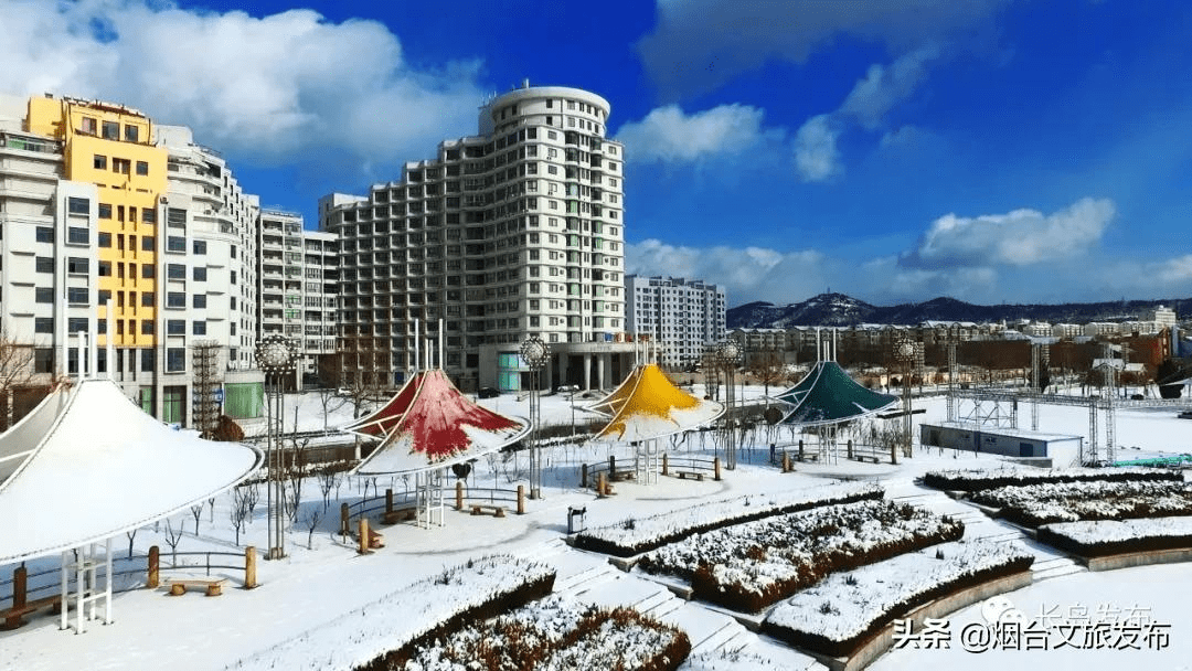 吴昆|雪落长岛 芳华刹那