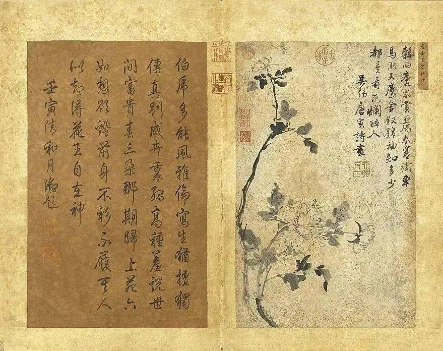 唐伯虎画花鸟,太罕见_唐寅_牡丹_水墨画