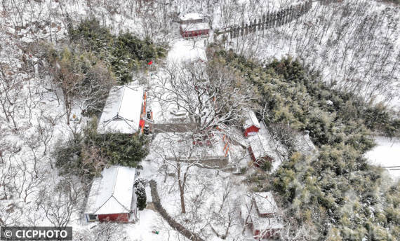 雪景|山东荣成：雪润伟德山