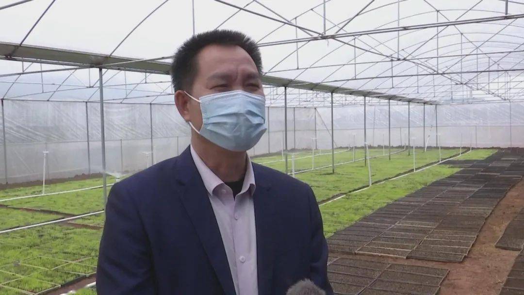 合浦:人勤春来早 春耕正当时_指导小组_低温_工作