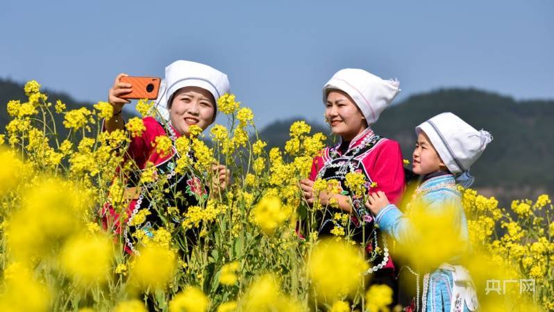 油菜花|贵州龙里：油菜花开 春色迎客