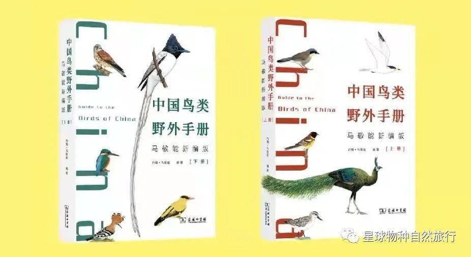 书讯中国鸟类野外手册马敬能新编版