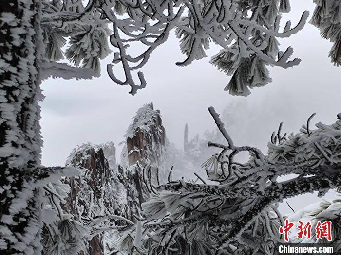 游客|安徽黄山雪后云海妆成 网友直呼“太好看”