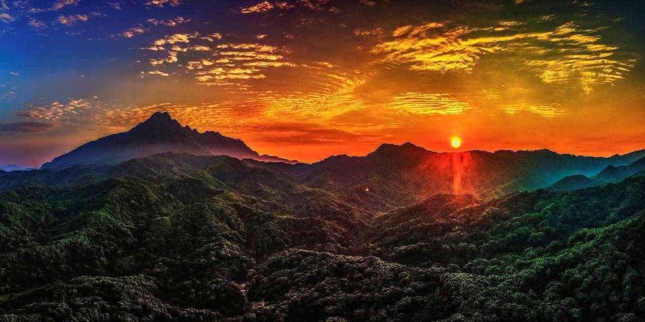 《秘境中的精灵》 作者:韩保献 6868拍摄地:阿陀岭和鹦哥岭《大理