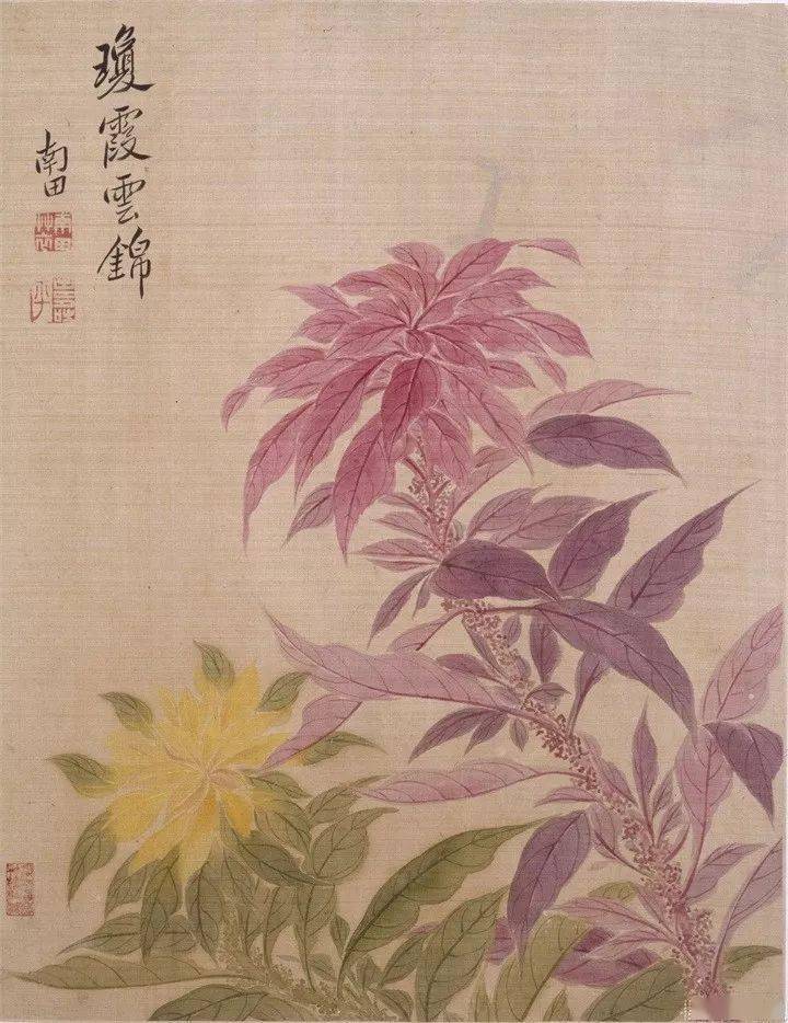 恽寿平235幅没骨花鸟画精品欣赏