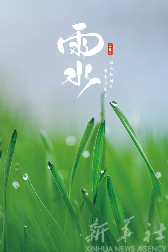 田其珍|报节气|好雨知时节