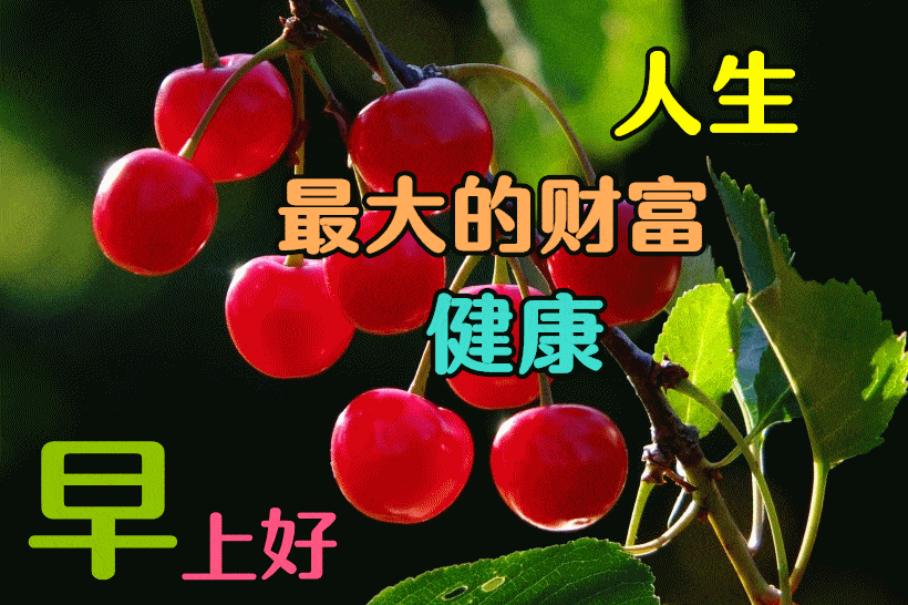 春天早上好图片问候语表情大全春天早安图片问候祝福语录句子