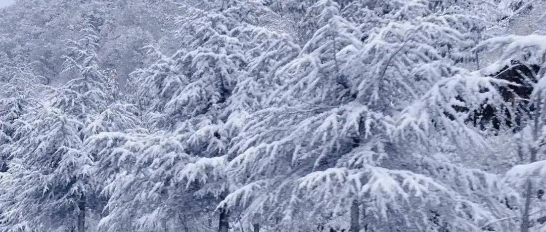 站稳扶好!寒雪+寒潮+大风预警通通来了!昆明气温跌至零下..._天气_小区_夏装