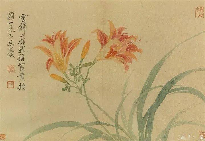 恽寿平235幅没骨花鸟画精品欣赏