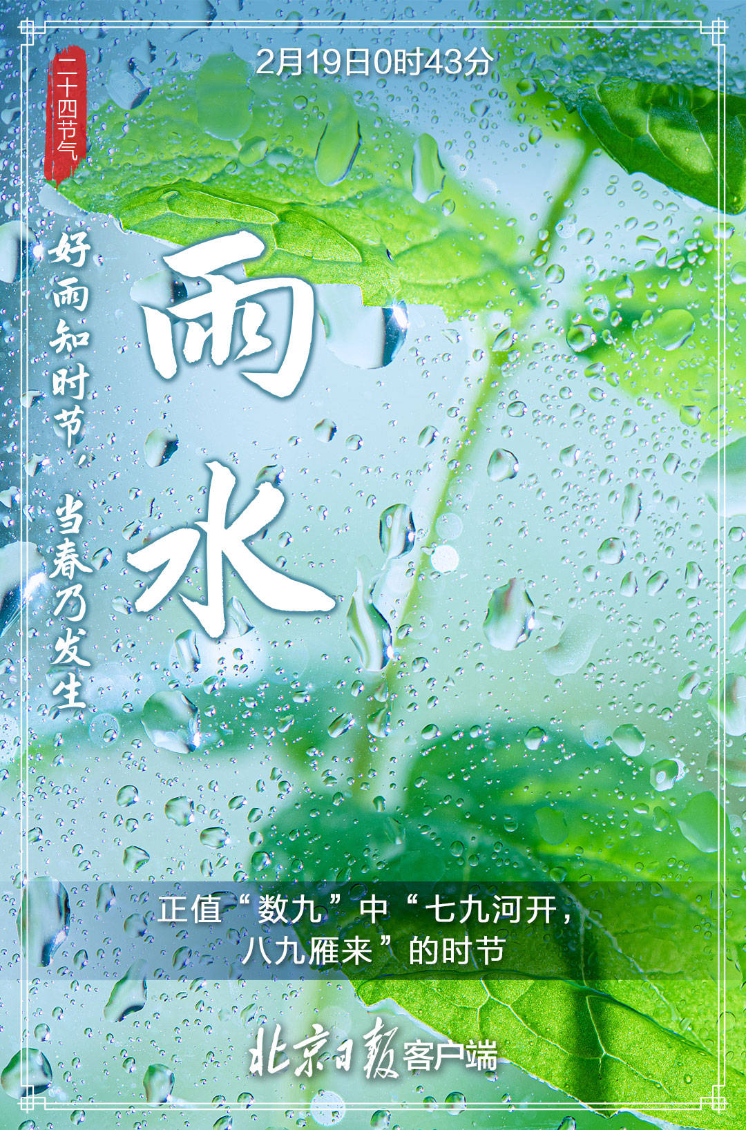 来袭|多张海报来袭！今日雨水，春天越来越近，让我们一起等待花开