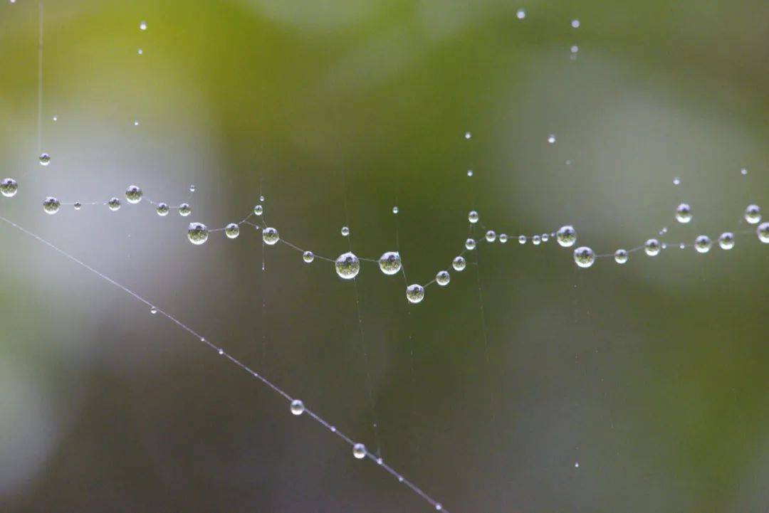 课堂|雨水！