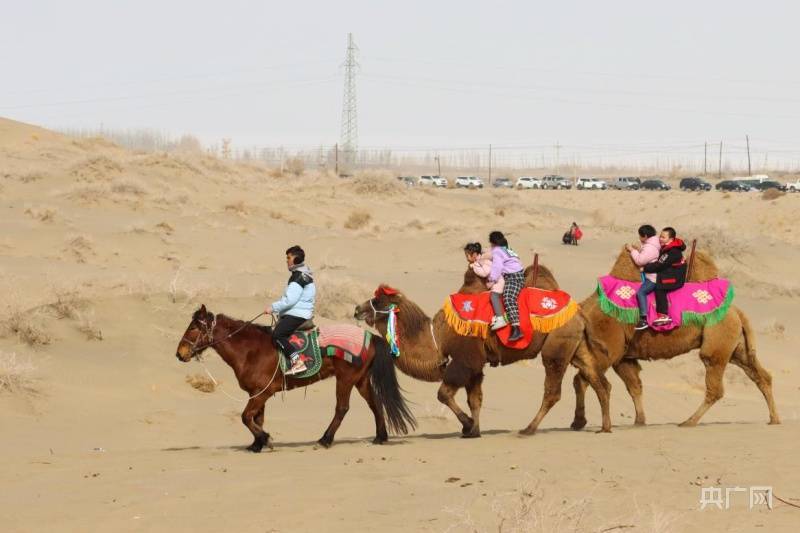 博湖|沙漠驼队踏寻大漠风光 为全域旅游增添新活力