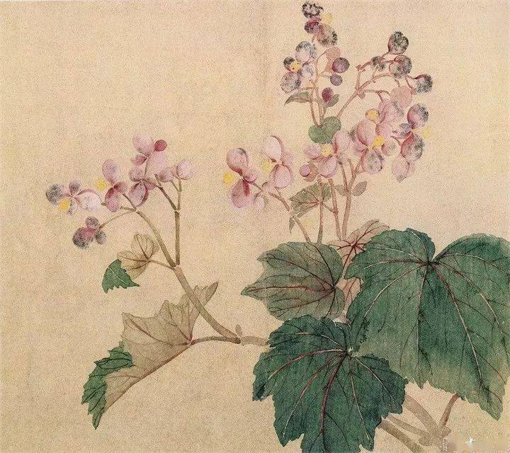 恽寿平235幅没骨花鸟画精品欣赏