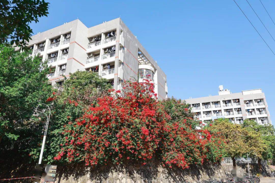 阔别33天北理珠待你归来