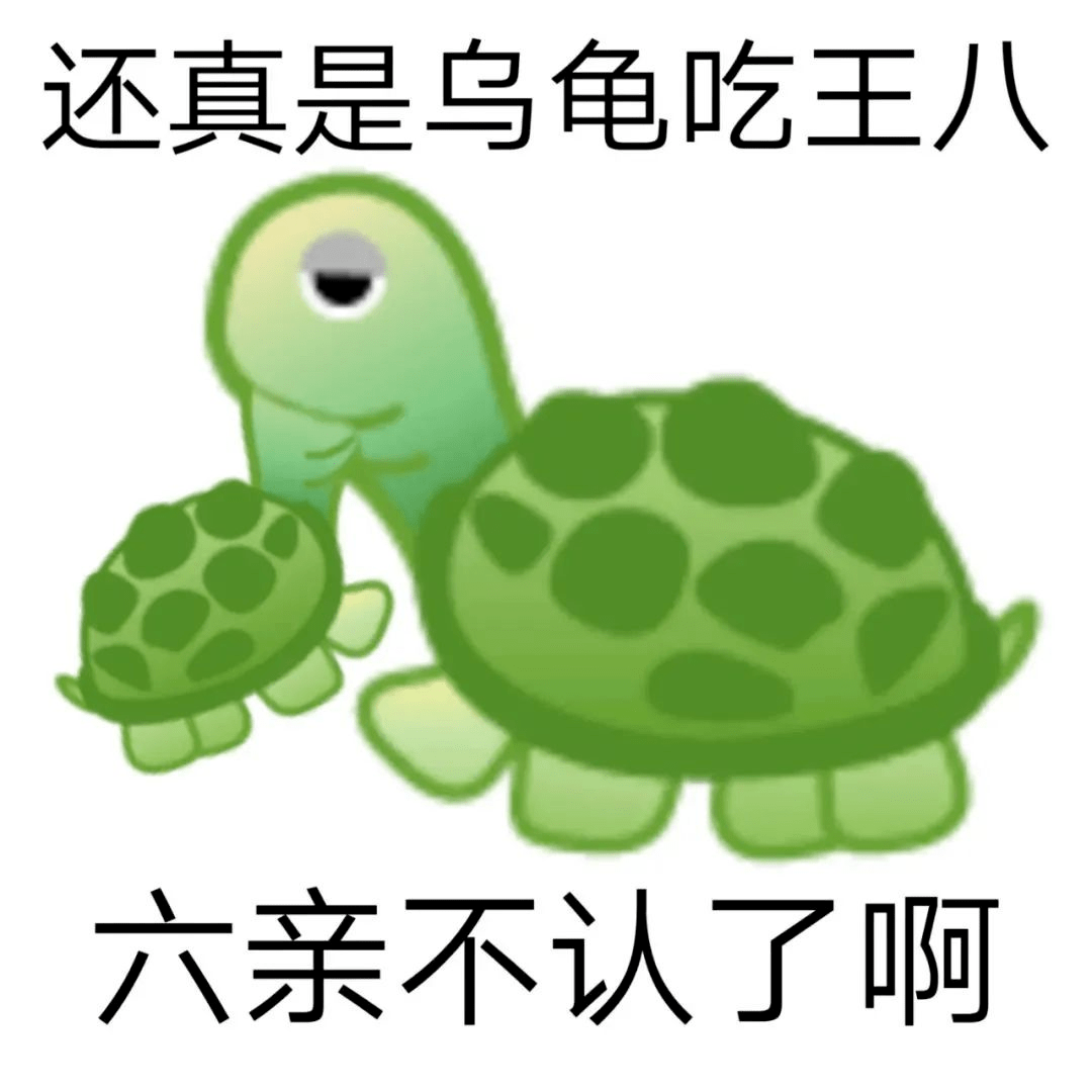 六亲不认了啊还真是乌龟吃王八