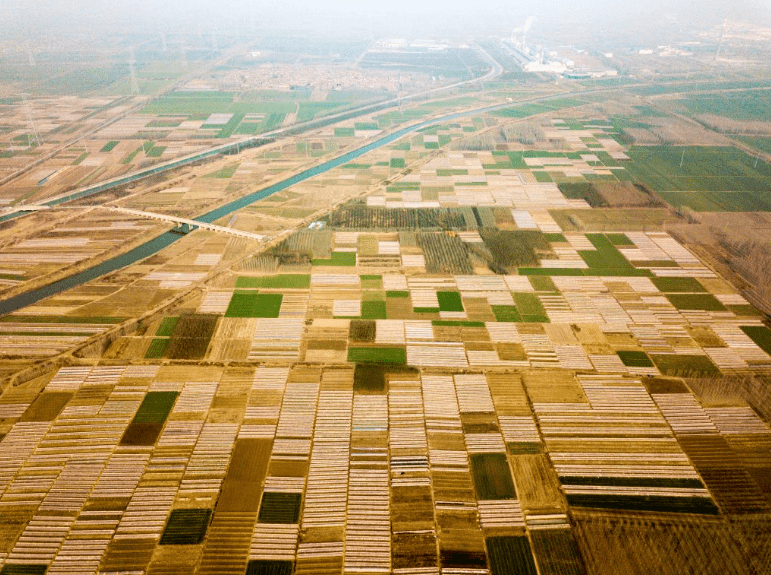 邹平市码头镇创黄河生态明珠建品质文旅福地