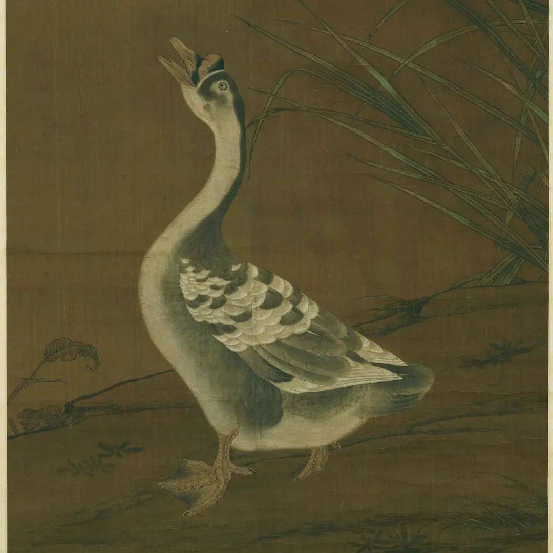赏画｜崔白《芦花羲爱图》_黄庭坚_版权_造物