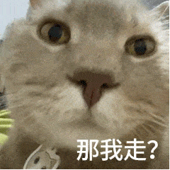 微信聊天可爱表情包