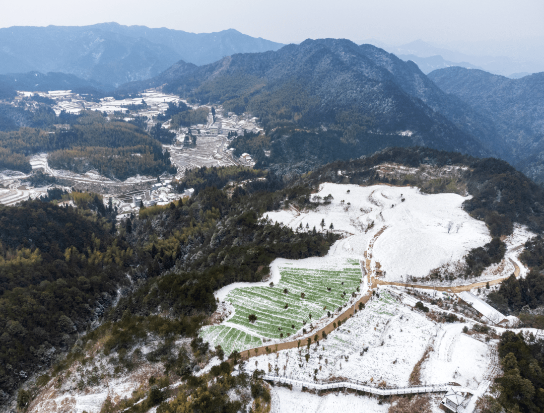 文成雪景大片上线,每一帧都不想错过~~_玉壶镇_公阳乡_银装素裹