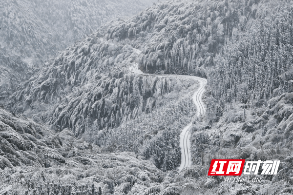 雪景|湖南新田：九峰山初春雪景醉游人