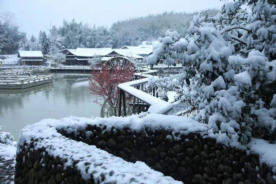 市区也下雪了温州多地出现积雪泰顺发布Ⅱ级响应学校停课接下来还有