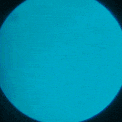 肉眼|好神奇！日常物品放大120倍，你还认得它们吗？