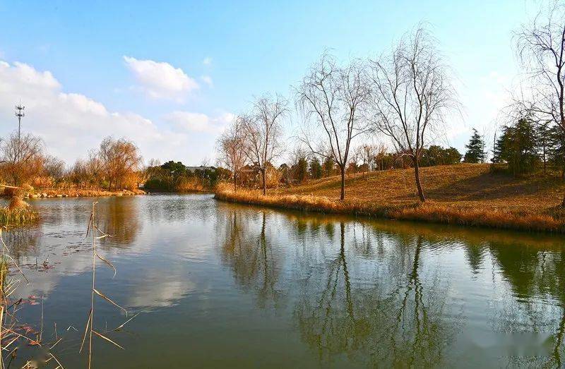 鹽城旅遊年卡建湖九龍口風景區