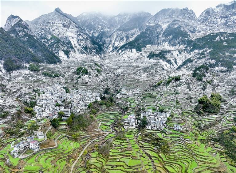 高山|高山梯田 层层叠叠似画笺