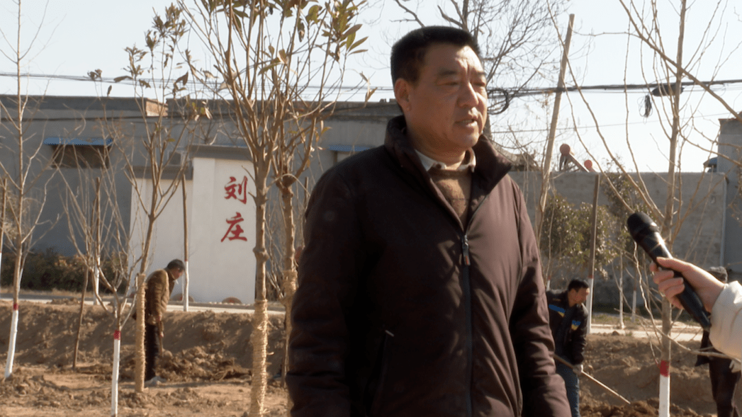 开春植树忙,美丽后河再添新绿_整治_卫辉市_刘庄村