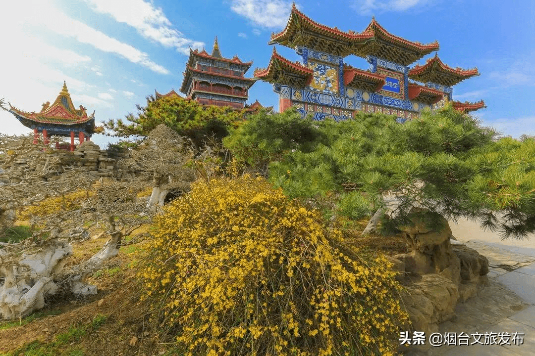 蓬莱|准备好迎接蓬莱的第一抹春色，开启全新旅程吧~