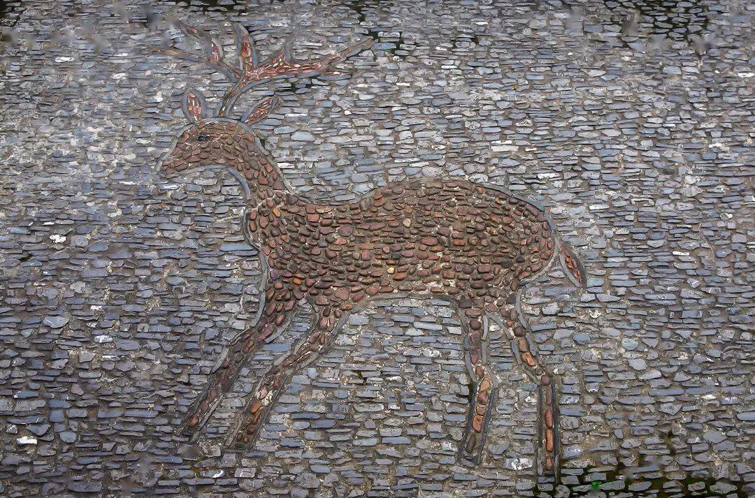 海棠|地上织绣，苏州园林的花街铺地