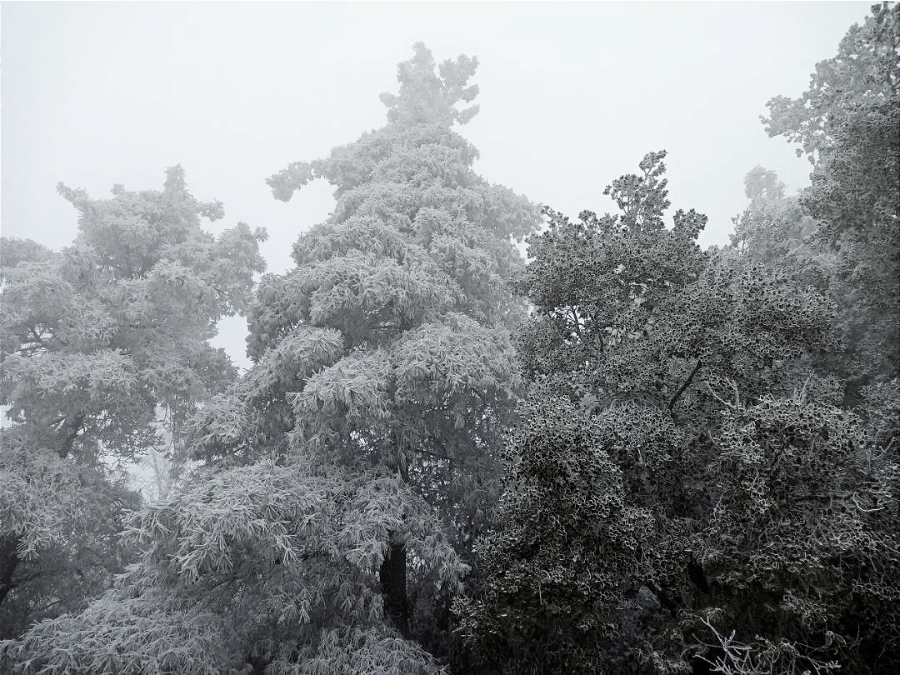 雪花|冬奥会里的那朵雪花飘到昆明来啦！ | 昆明文旅动态